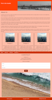 Example Website 3